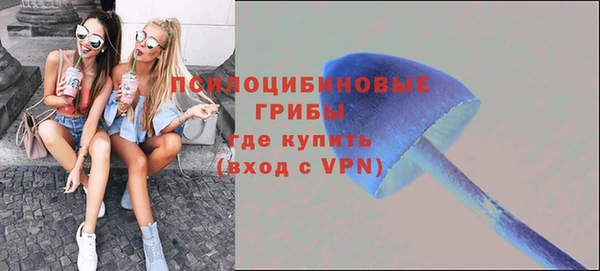 PSILOCYBIN Нягань