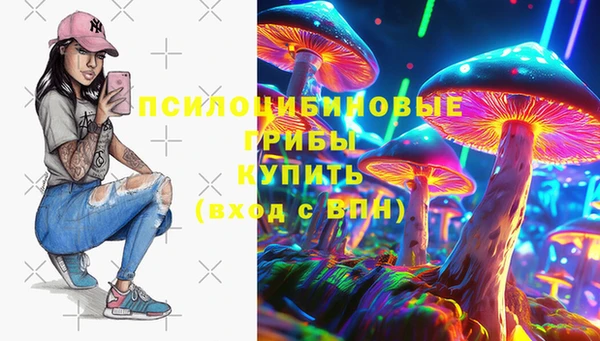 PSILOCYBIN Нягань