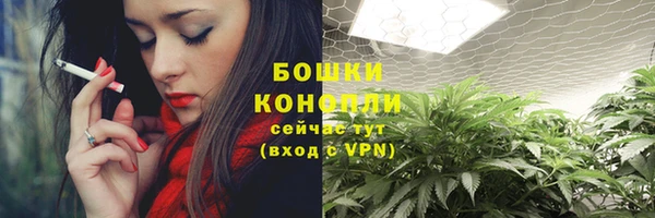 прущий лед Няндома