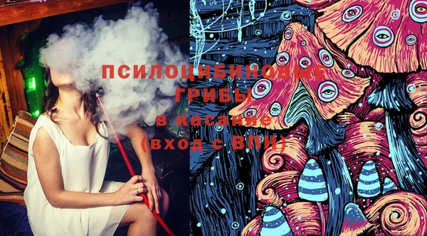 PSILOCYBIN Нягань
