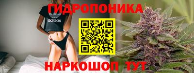 spice Гусь-Хрустальный