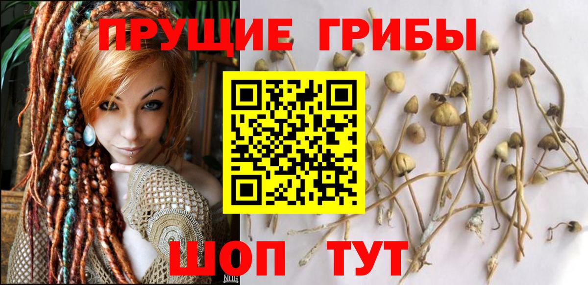 Галлюциногенные грибы ЛСД Нефтеюганск